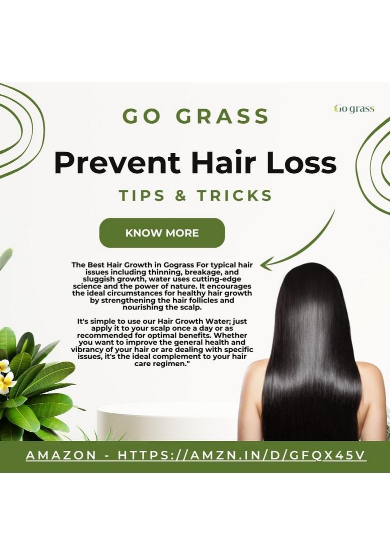 Go Grass Dried Rosemary Leaves for Hair Growth, 100GM | Food Grade Seasoning Food, care, Herbal Tea