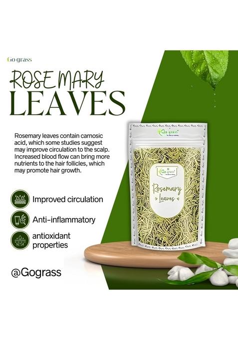 Go Grass Dried Rosemary Leaves for Hair Growth, 100GM | Food Grade Seasoning Food, care, Herbal Tea