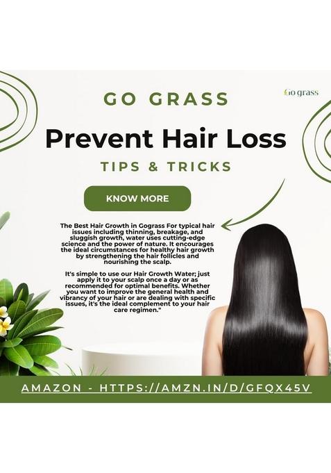 Go Grass Dried Rosemary Leaves for Hair Growth, 100GM | Food Grade Seasoning Food, care, Herbal Tea