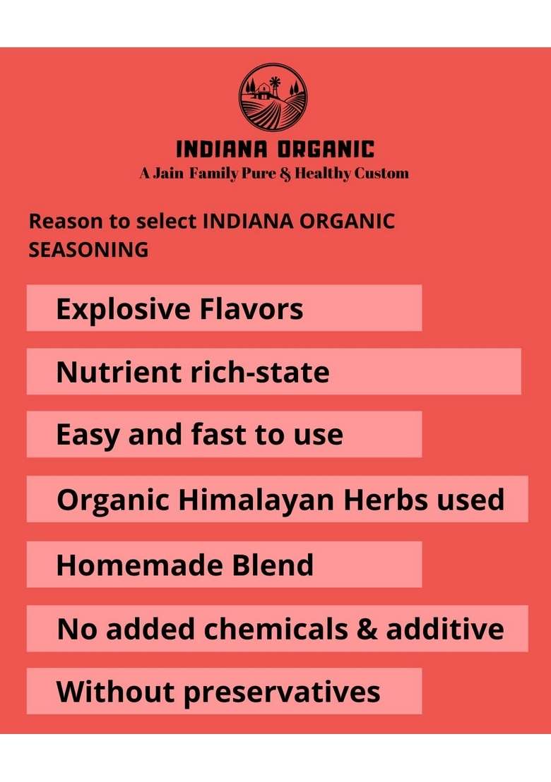 INDIANA ORGANIC bbq | peri pizza seasoning - combo of 3 Jain seasoning. No onion and garlic. - Indya