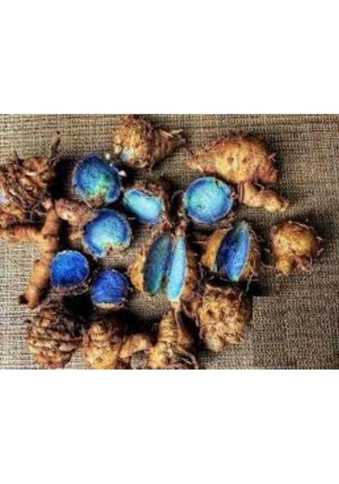 GABHISMEEN Original Kali Haldi or Black Turmeric Narkachur Narkachoor Raw and Natural (100 gram)