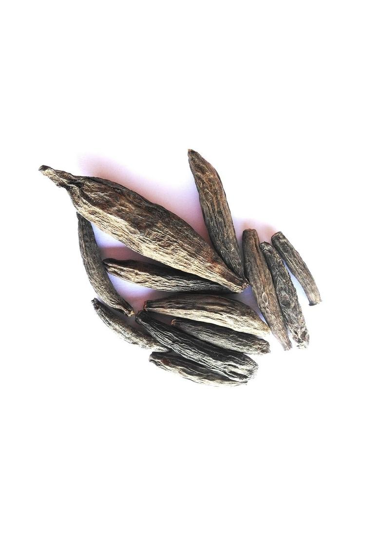 vinarghya Jangali Lavang Marathi Moggu Junglee Lawang Wild Clove