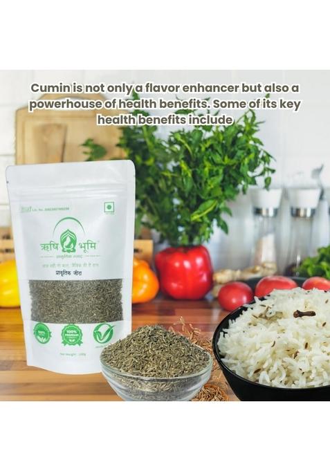 RISHI BHOOMI Natural Organic Cumin Seeds (Pack of 100 gram)