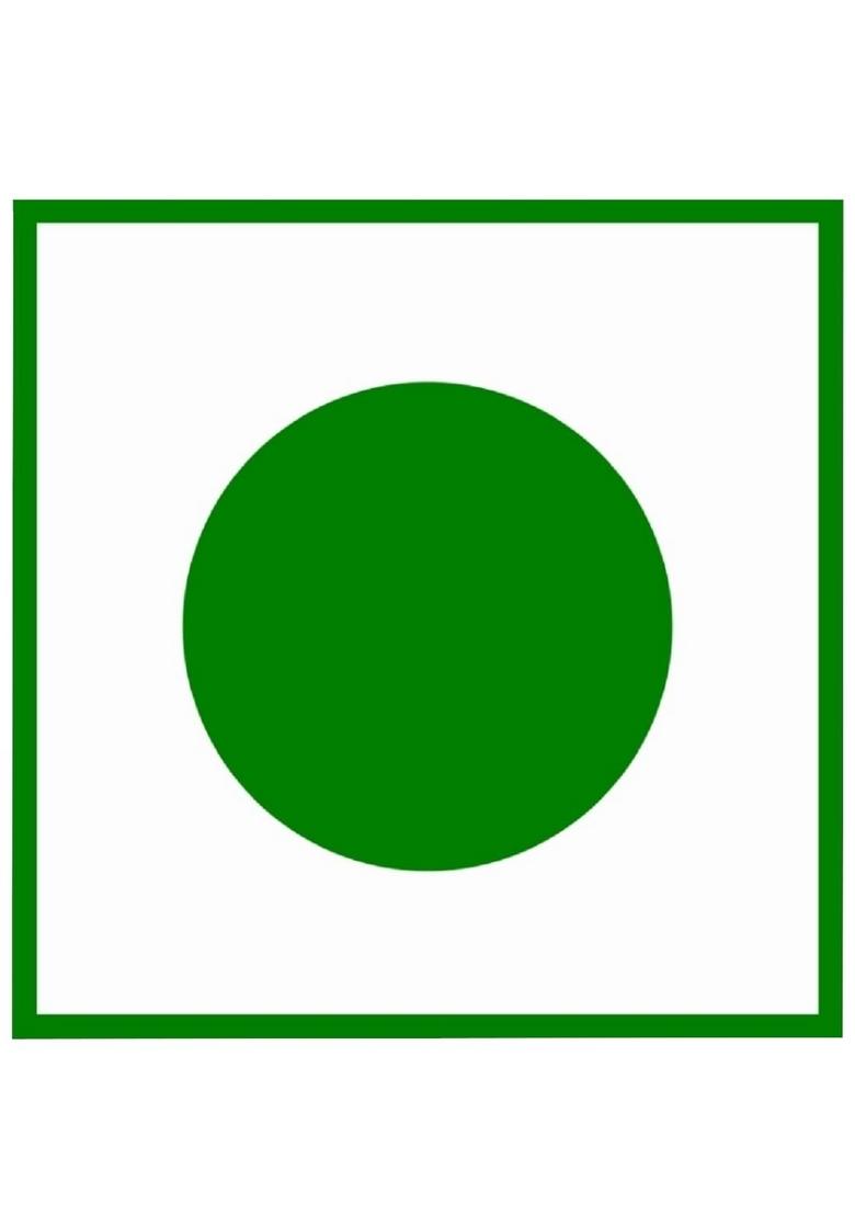 Singla sweets Milk Cake 500g Delicious, Mithai, Box