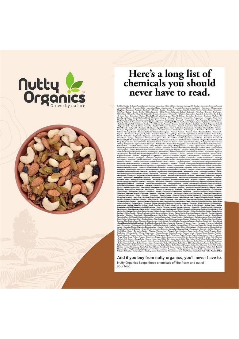 NUTTY ORGANICS Panchmeva Dry Fruit Mix 400GM Pack | Premium California Almonds 35%, Goa Cashews 20%, Oman Dates Black Raisins