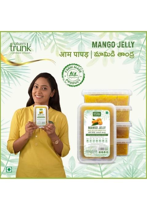 Natures Trunk Mango Jelly | 750 g Aam Papad Mamidi Thandra Sun Dried Traditional Fruit Snack Ripe Pulp No Preservatives Natural Sweet Candy