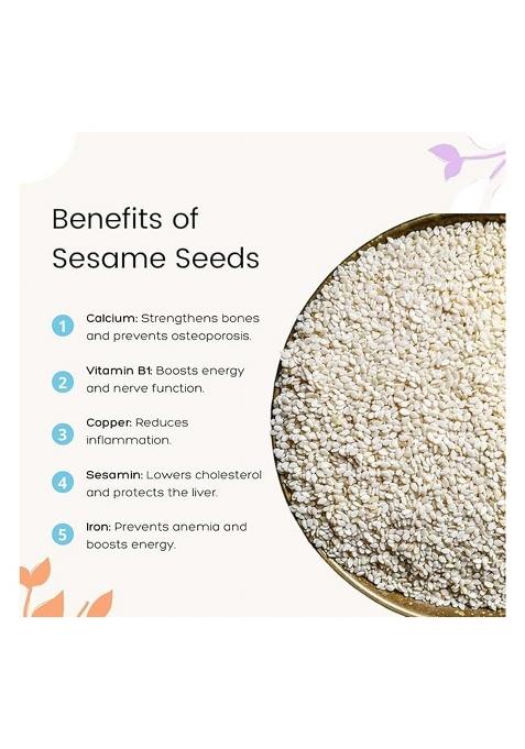 G & Agro Foods White Sesame Seeds (Til) 500G | Pure Natural Safed Til No Artificial Flavours, Colours Or Preservatives Tal/White Indian Spice Nutrient-Rich For Eating
