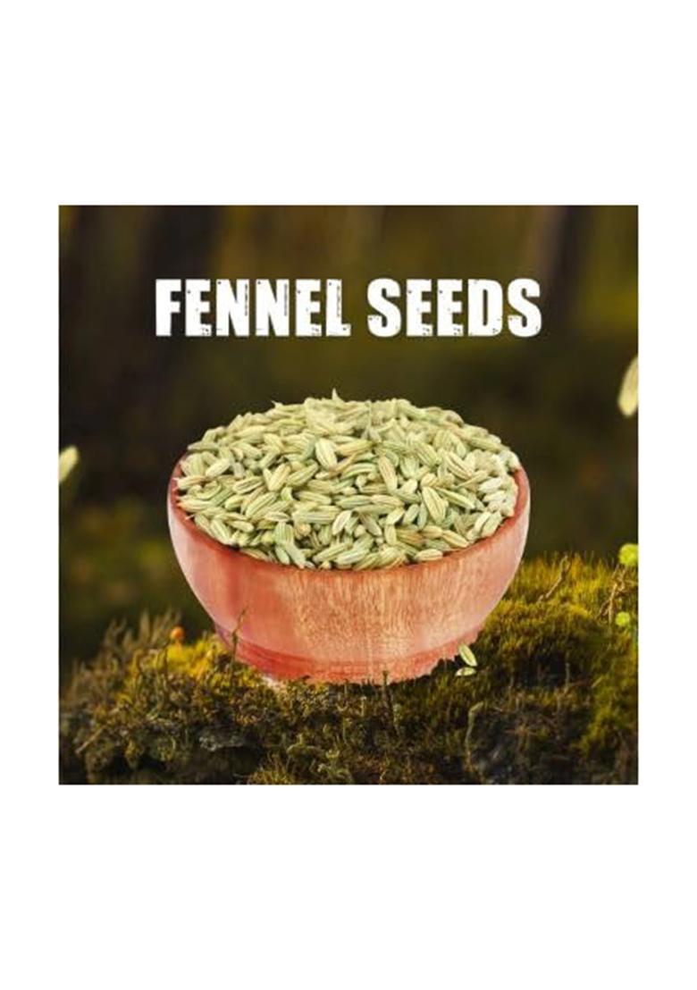 Organicpacific Fennel Seeds | Saunf For Digestion & Fresh Breath Natural Aromatic Spice Cooking Mouth Freshener 1Kg