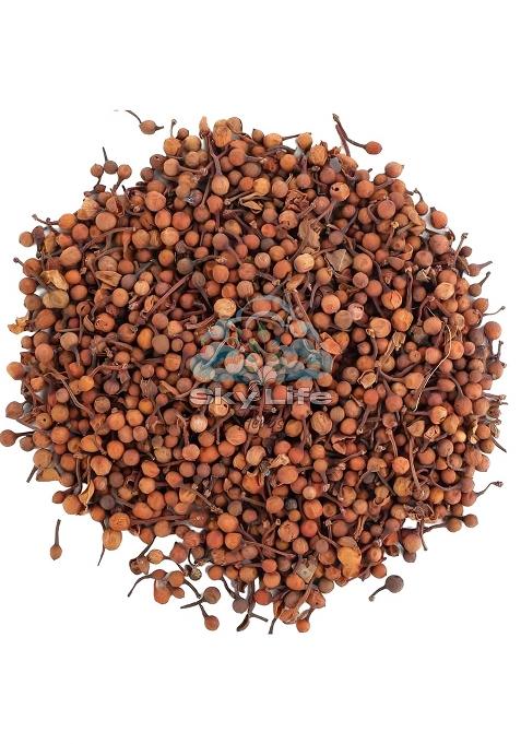 Sky Life Nagkesar/Nagpushp Longifolia 25Grm | Nagkesar Whole Ochrocarpus Longifolius Seeds Indian Rose Chestnut Flower Cobra S Saffron Natural Fragrant Herb