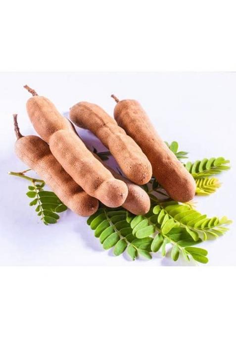 Exotes Sweet Tamarind -100G