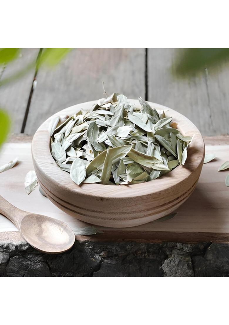 Harvitatva Sanay Patti Whole | Indian Senna Leaves Swarnapatri Sana Makki Natural Herbal For Detox & Digestion 100% Organic Chemical-Free 100Gm