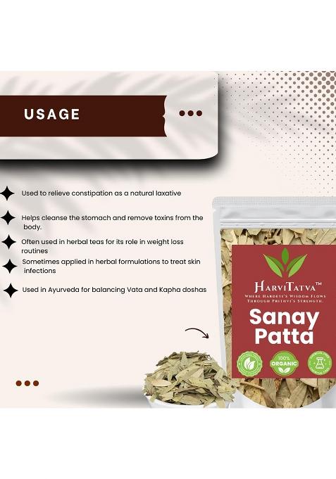 Harvitatva Sanay Patti Whole | Indian Senna Leaves Swarnapatri Sana Makki Natural Herbal For Detox & Digestion 100% Organic Chemical-Free 100Gm