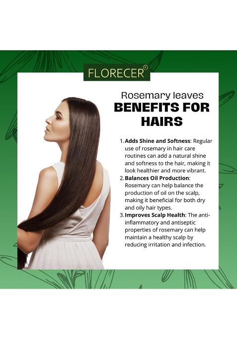 Florecer Rosemary Leaves, For Hair Growth And Seasoning Food Herbal Tea | Dried Leaves 100% Pure Organic- Pack Of 2 (Each 50 Gram)