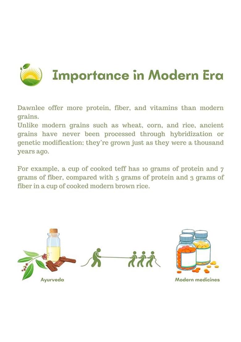 Dawn Lee ( 18Th Century Goodness ) Sun-Dried Curry Leaves 50G | Natural Kadi Patta For Cooking & Seasoning Dry Karipatta With Rich Aroma Anti-Microbial Properties No Additives