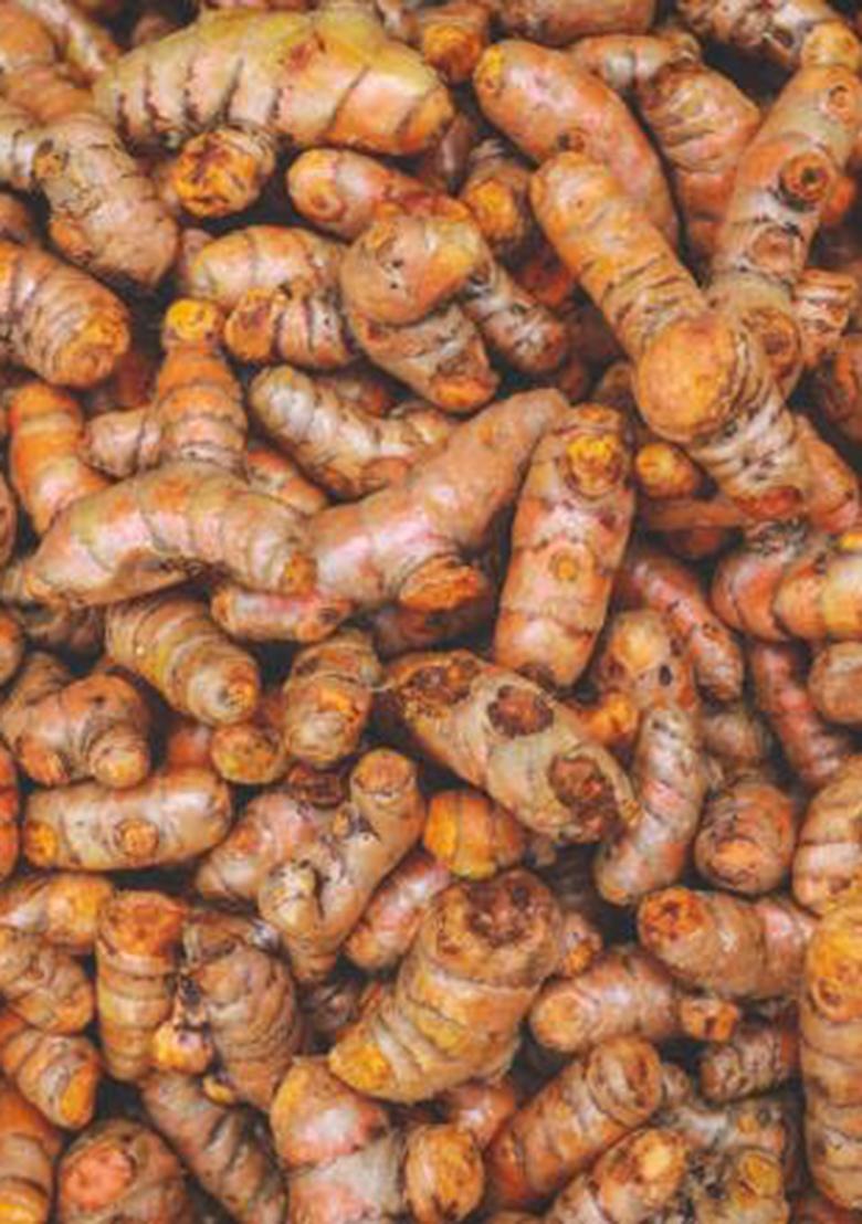 Parshutara Raw Turmeric Roots (Kacchi Haldi Big Size) 100% Chemical-Free, High Curcumin, Fresh & Handcrafted Ideal For Cooking, Herbal Teas, Skincare Traditional Ceremonies Natural Immunity Booster Ayurvedic Herb Farm 400G