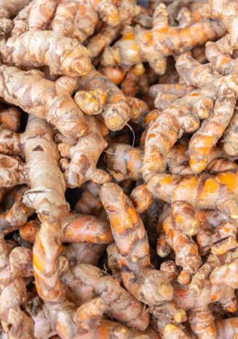 Parshutara Raw Turmeric Roots (Kacchi Haldi Big Size) 100% Chemical-Free, High Curcumin, Fresh & Handcrafted Ideal For Cooking, Herbal Teas, Skincare Traditional Ceremonies Natural Immunity Booster Ayurvedic Herb Farm 400G