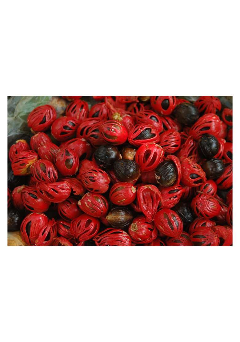 Meenakshi Spices - Organic And Purity Of Nature Whole Nutmeg Mace | Sabut Javitri Flower 50 Gm - Indya