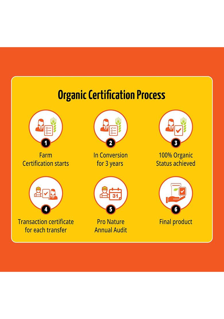 Pro Nature 100% Organic Turmeric Powder, 100Gm