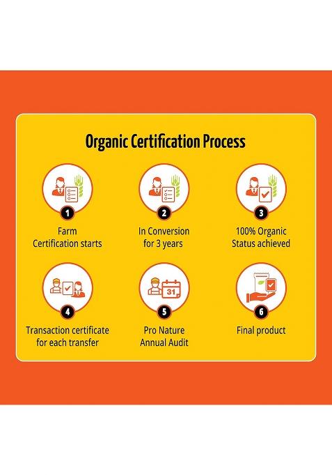 Pro Nature 100% Organic Turmeric Powder, 100Gm