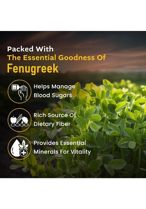 Swastik Fenugreek Powder | Rich In Flavour No Added Colours Natural And Authentic (100 Gram)