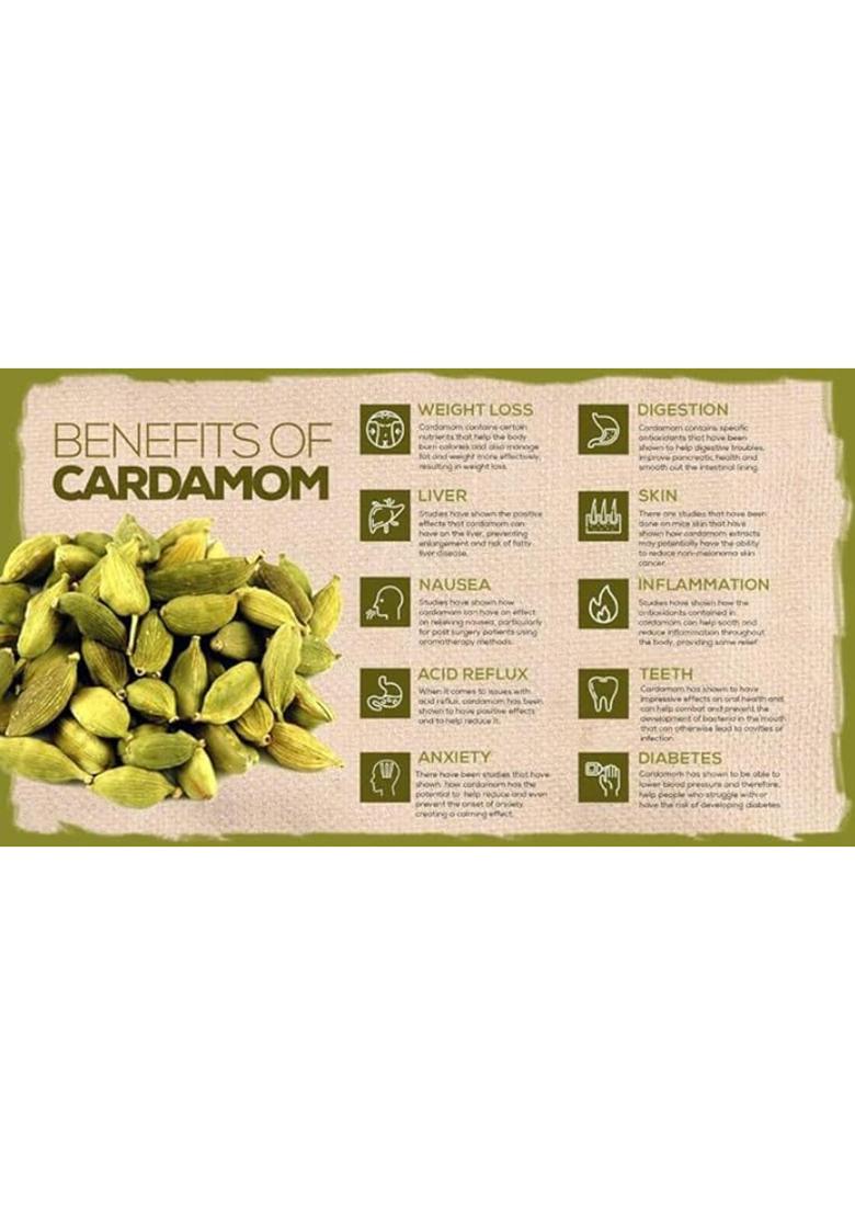 M S General Trading Company Fresh Kerala Green Cardamom Pods, 100% Natural, Export Grade, Handpicked From Kerala, For Biriyani, Tea, Sweets, Ayurveda Organic, Idukki Bold Pods -50G Msgtco Elakka Elakkai