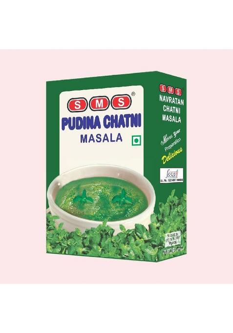 Subhash Masala Store Pudina Chutney 100G