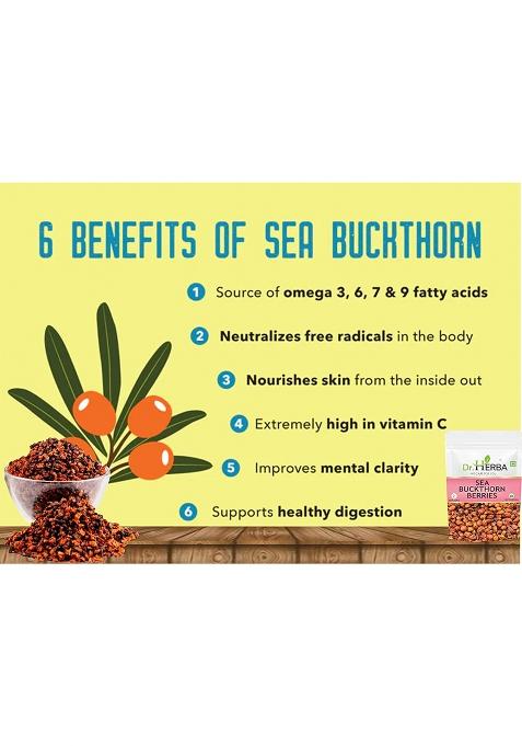 Dr. Herba Dry Sea Buckthorn Berries