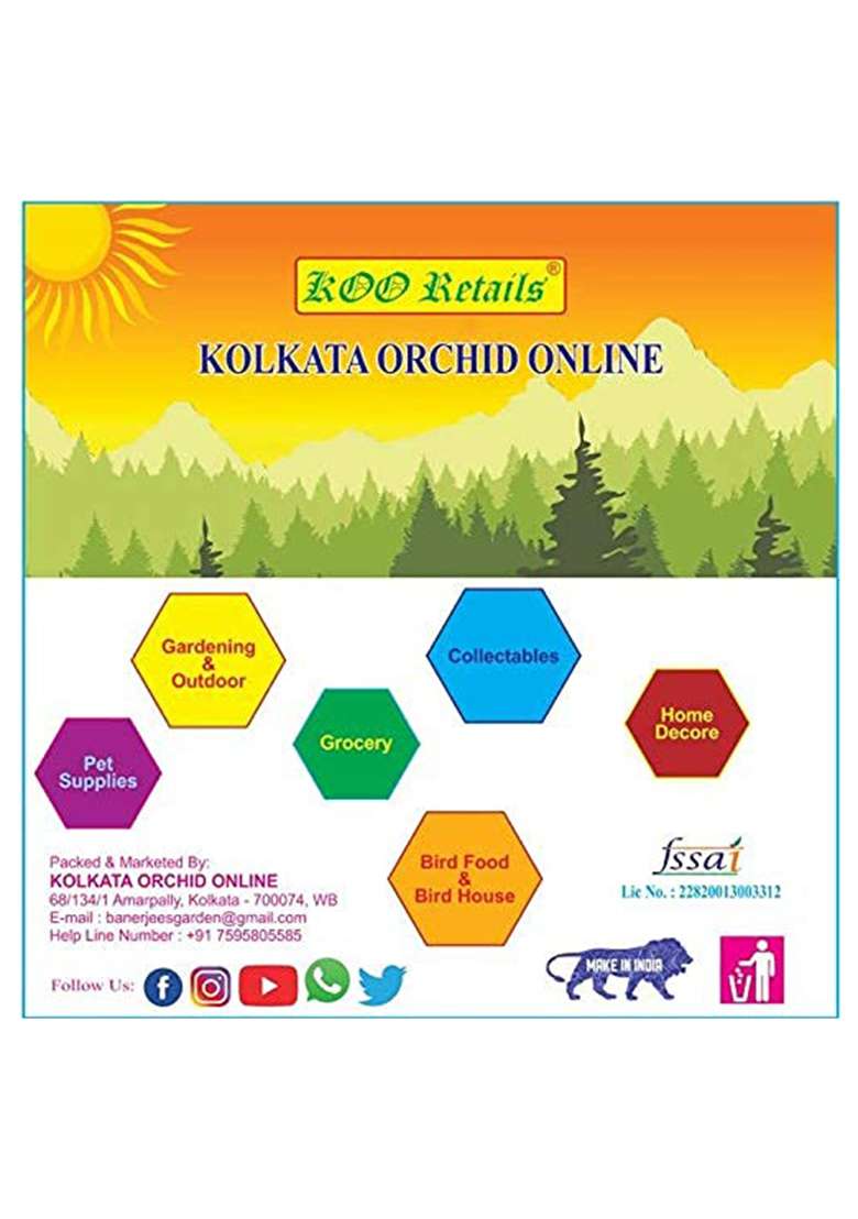Koo Retails Organic Healings Energized Vastu Cleansing Sea Crystal Salt 100G - Indya