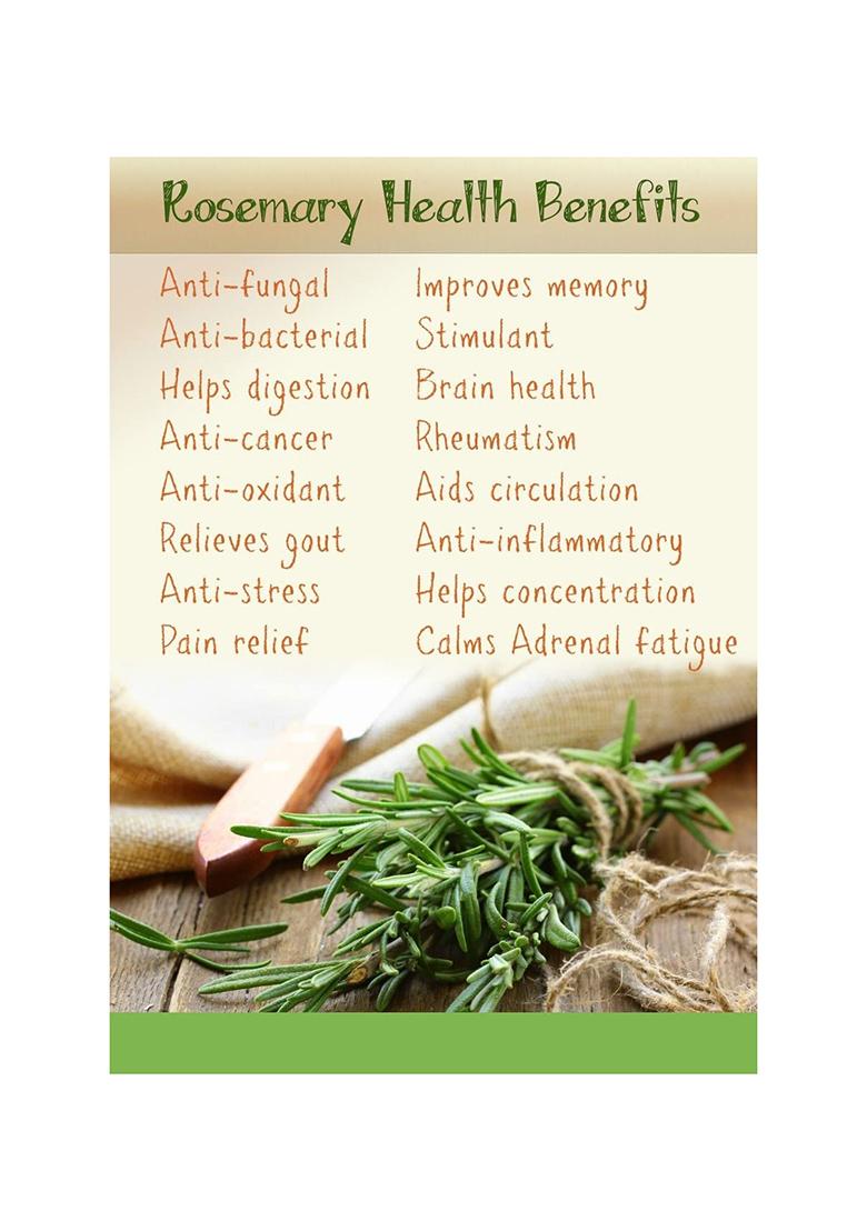 Indiana As Offered By Nature Rosemary Dried Leaves With Applicator For Hair Growth | Herb Tea Organic Natural 50Gm