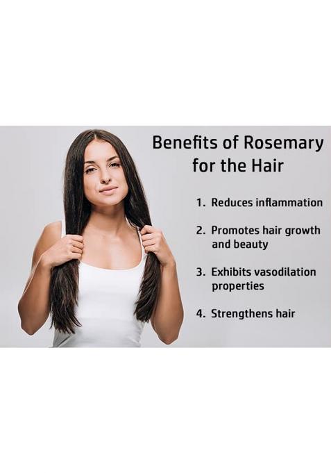 Indiana As Offered By Nature Rosemary Dried Leaves With Applicator For Hair Growth | Herb Tea Organic Natural 50Gm