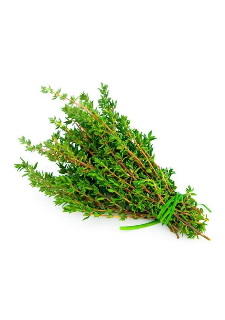 3V Products Organic Thyme Leaves 100 Grams | Dry Use For Herb Seasoning & Herbal Tea Cough Cold
