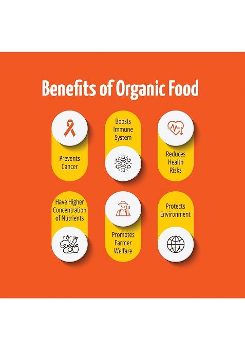 Pro Nature Organic 100% Cumin Powder