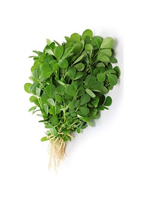 Omg Organic Seeds ! Kasturi Methi Fenugreek : 5000