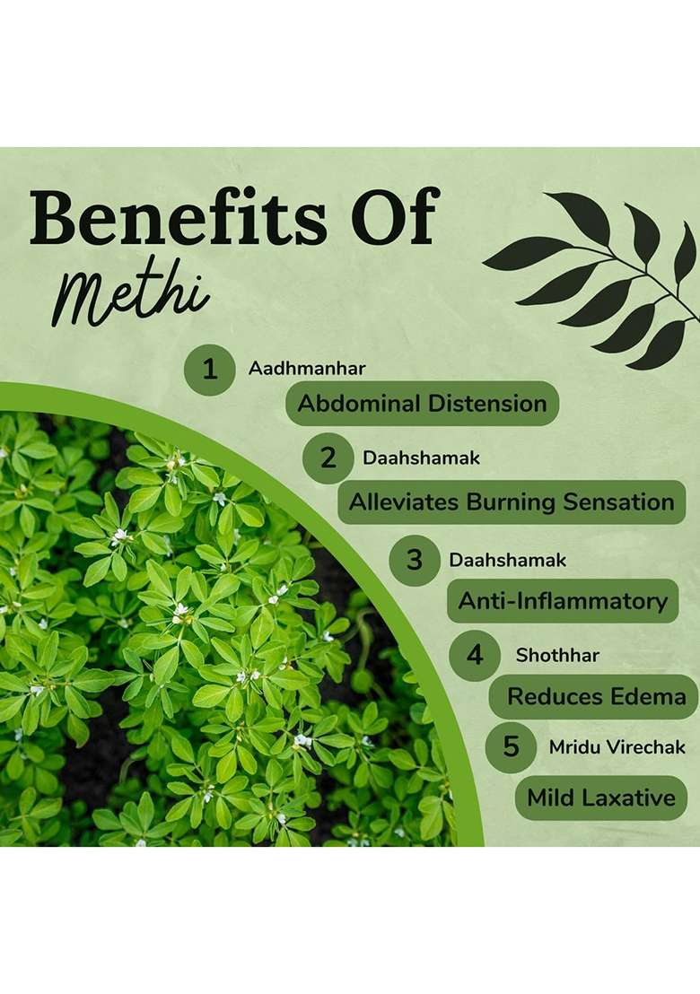 Songara Pure Natural & Ayurvedic Methi Powder 50 Gram (Trigonella Foenum-Graecum) Arthritis And Rheumatism, Women S Health, Skin Hair, Nutritional - Indya