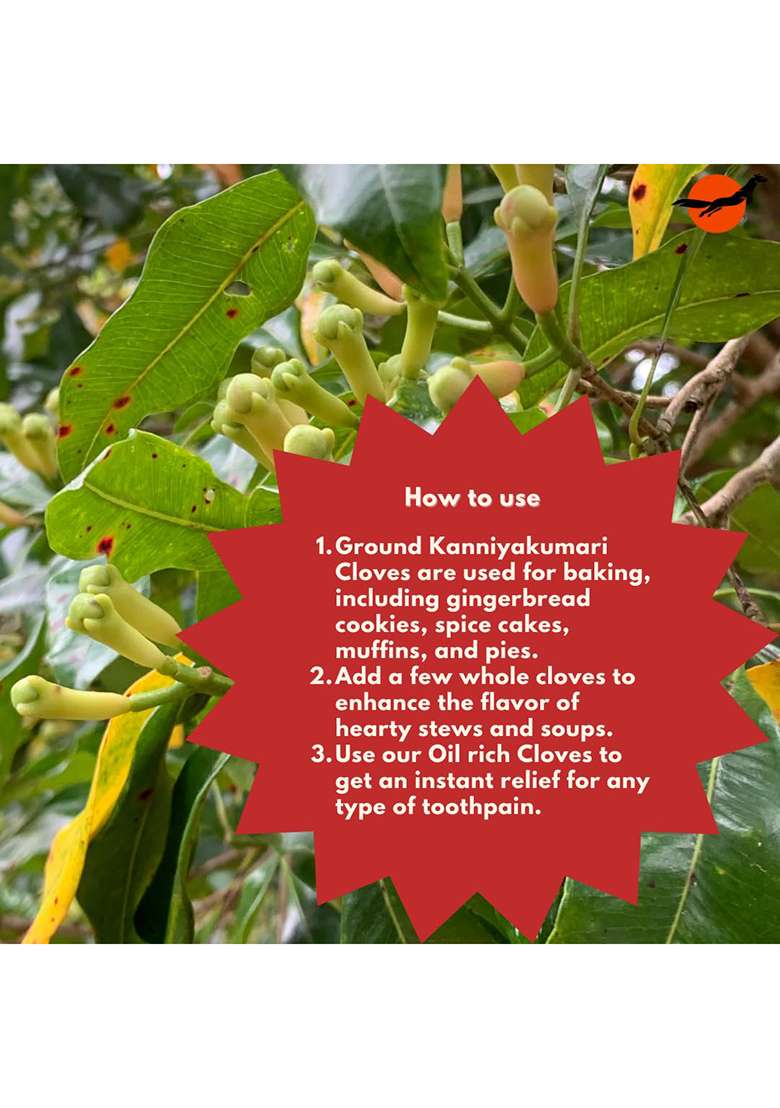 Nilgiri Marten Spices Kanniyakumari Cloves | 21% Oleoresin Content, Natural & Pure No Added Colors Preservatives Laung, Lavangam, Sabut Khade Masale, Grampu Krambu, For Strong Immunity Diabetes Single Origin (250G) - Indya