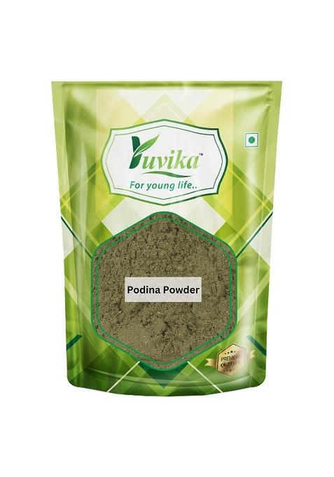 Yuvika Podina Powder - Pudina Mentha Arvensis Linn Mint Leaves 400 Grams