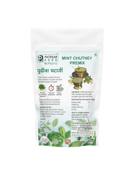 Patekar Agro Pudina Chutney Premix (100)