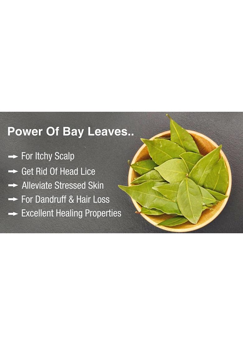 Saara Herbal Fresh Bay Leaf Powder, 50G, Dried Leaf, Tej Patra, Tamalpatra, Tejpatta 50G