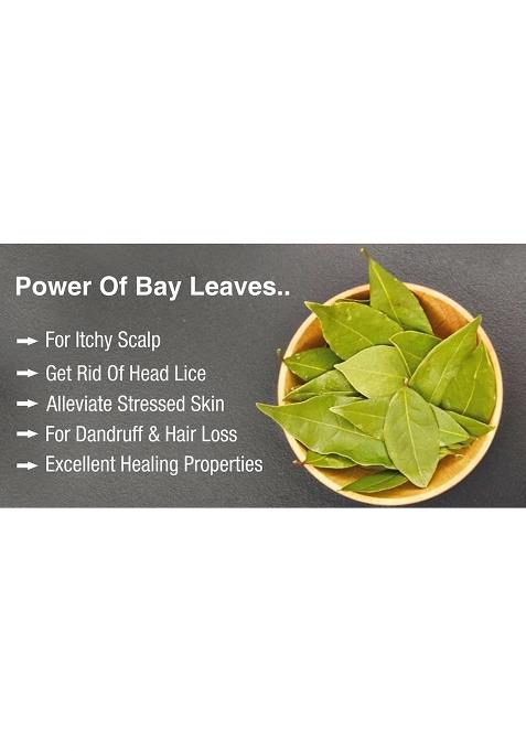 Saara Herbal Fresh Bay Leaf Powder, 50G, Dried Leaf, Tej Patra, Tamalpatra, Tejpatta 50G