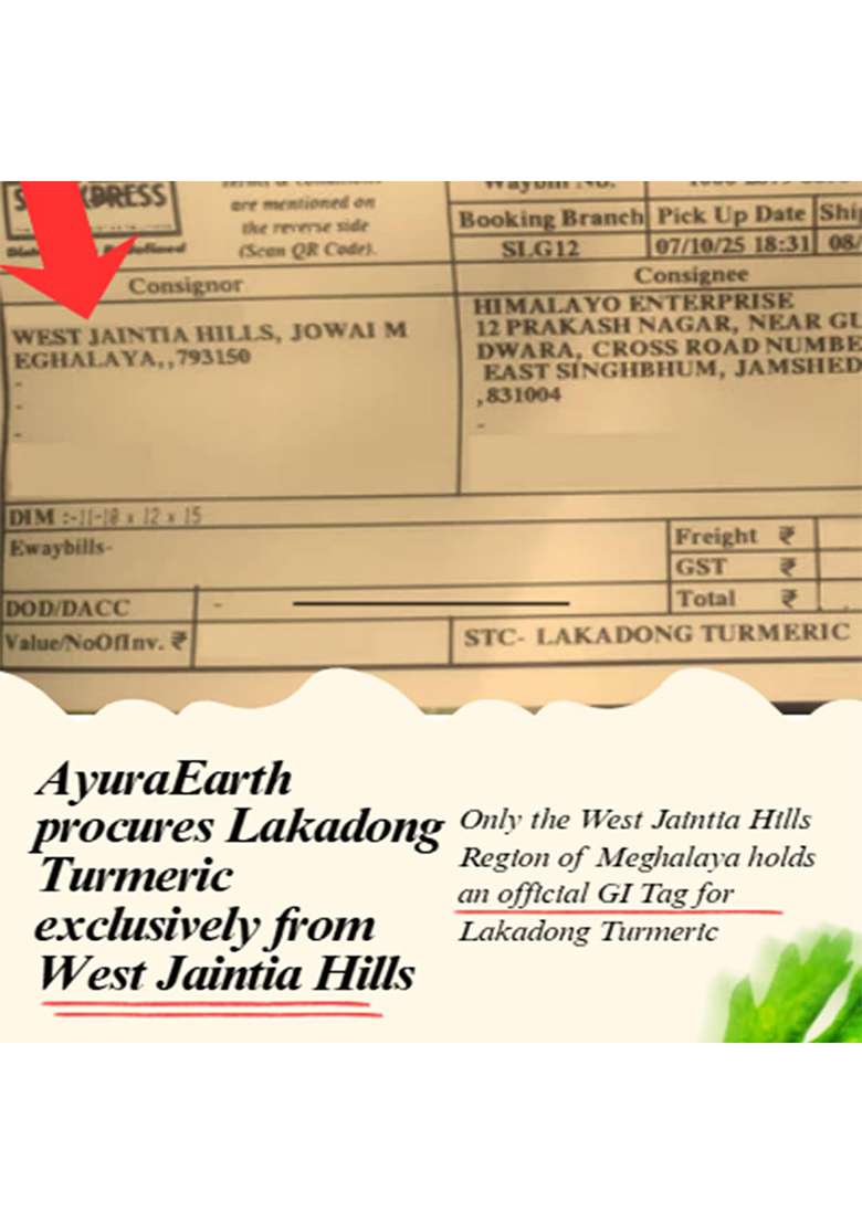 Ayuraearth Lakadong Turmeric Powder (250Gm) From Meghalaya | 10% High Curcumin 100% Organic & Pesticide-Free Single Origin Fresh Harvest - Indya