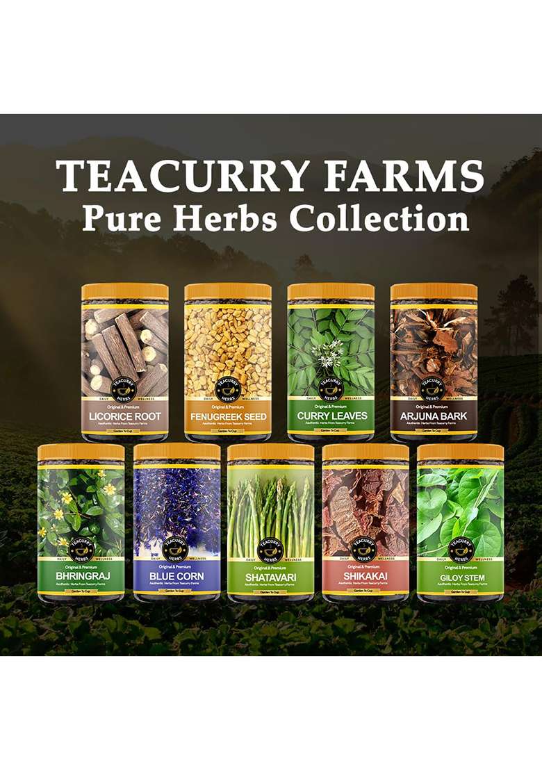 Teacurry Himalayan Organic Yellow Chili (Lakhori) - Whole Lakhori Chilli Spice From Himalayas (45 Grams) - Indya