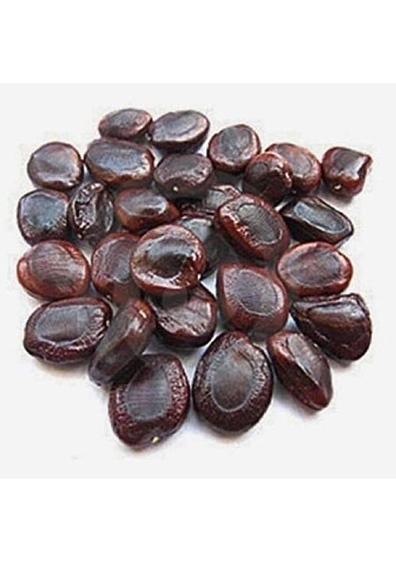 Rukda Fresh Organic Tamarind Seeds | Imli Beej 100% Natural, Non-Gmo, And Chemical-Free
