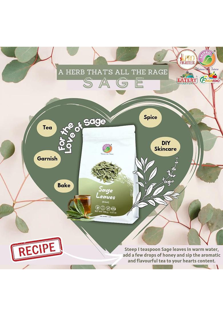 Saipro Nature Our Future Dried White Sage Leaves 100 Gm, Pure Natural Herb Perfect For Gravies, Fry Roasted Vegetables, Potato Dishes, Smudging | Skin Glow Herbal Iced Tea| Make Potpourri, 100% , No Preservatives, Sugar