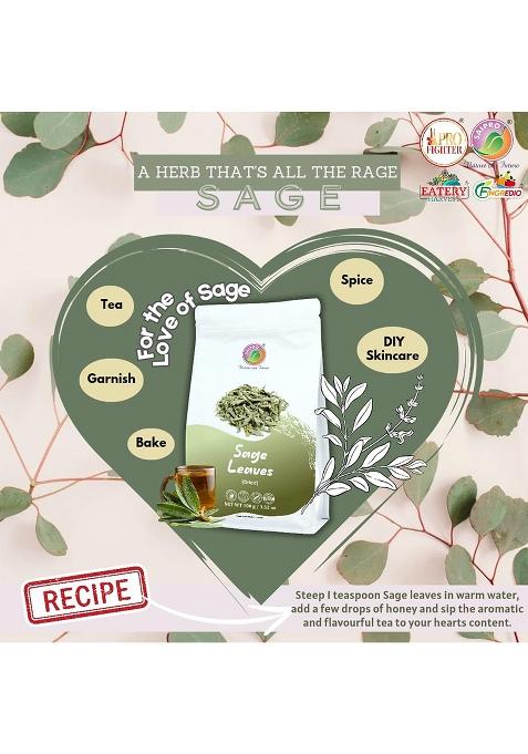 Saipro Nature Our Future Dried White Sage Leaves 100 Gm, Pure Natural Herb Perfect For Gravies, Fry Roasted Vegetables, Potato Dishes, Smudging | Skin Glow Herbal Iced Tea| Make Potpourri, 100% , No Preservatives, Sugar