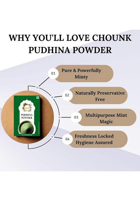 Chounk Natural Mint Powder Dry 100Gm| Pudina With No Added Flavors & Preservatives | Leaves Powders