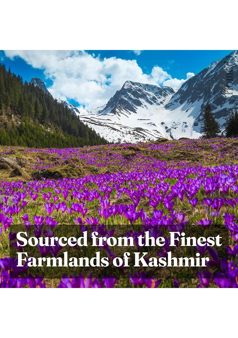 Homeda Kesar Saffron Original 1G / Pure Keshar Kashmiri | Kumkuma Puvvu Safron, Kungumapoo For Women, Zafran, Kasar, Kumkumapoovu, Keser, Certified Grade A 1 Gm