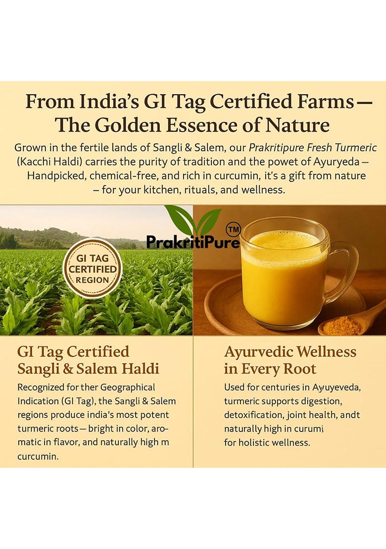 Prakritipure Fresh Turmeric 900G (Kacchi Haldi ) 100% Natural & Chemical-Free, High Curcumin, Handpicked Raw Root Ideal For Cooking,Herbal Tea, Skincare Traditional Use (Kacha Halud)|Taaja Pasupu| Organic| Pachamanjal |Kachi |