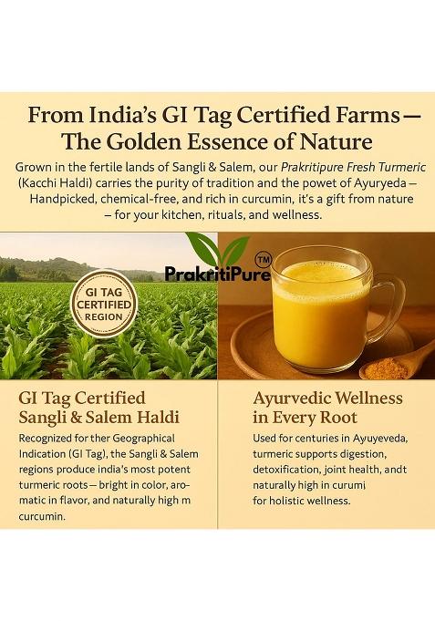 Prakritipure Fresh Turmeric 900G (Kacchi Haldi ) 100% Natural & Chemical-Free, High Curcumin, Handpicked Raw Root Ideal For Cooking,Herbal Tea, Skincare Traditional Use (Kacha Halud)|Taaja Pasupu| Organic| Pachamanjal |Kachi |