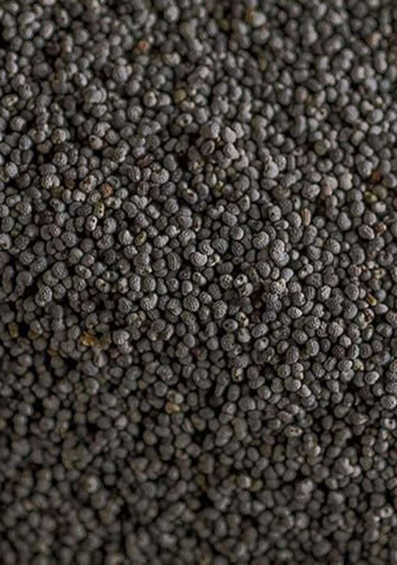 Namo Organics - Original Poppy Seeds (Black) 200G 100% Natural Khus For Cooking & Baking - Indya
