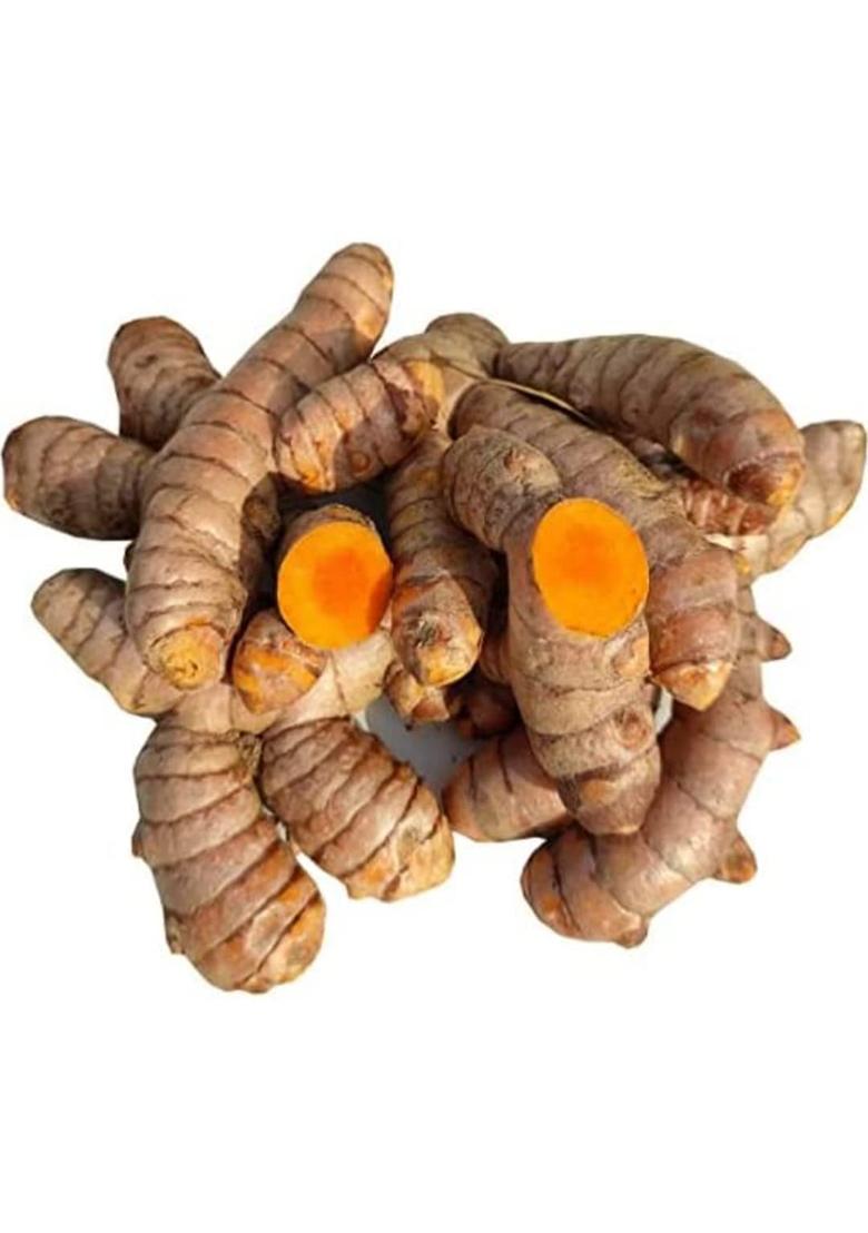Kakran Organic Kachi Haldi, (100% Organic) Chemical-Free Turmeric Root (500 Gram)